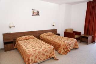Отель Iglika Palace Hotel & Villas Боровец Двухместный номер с 2 отдельными кроватями-5